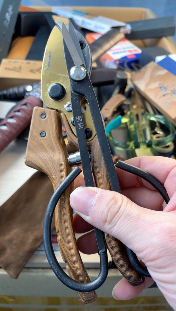 【闪购商品】瓷片jianz88888888888888