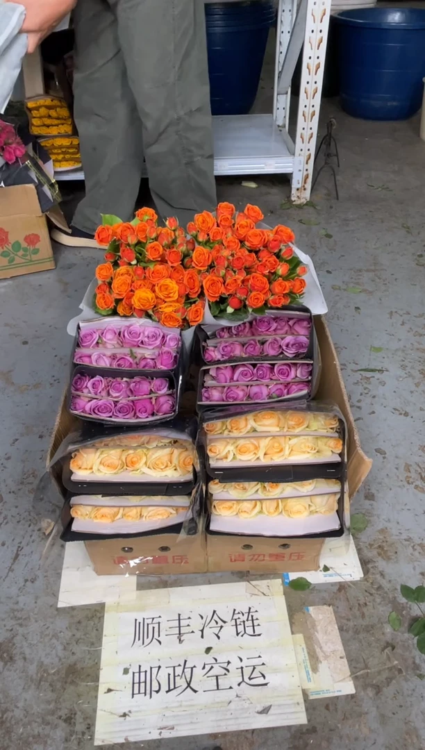 香槟20枝+紫霞20枝+橙色芭比10枝