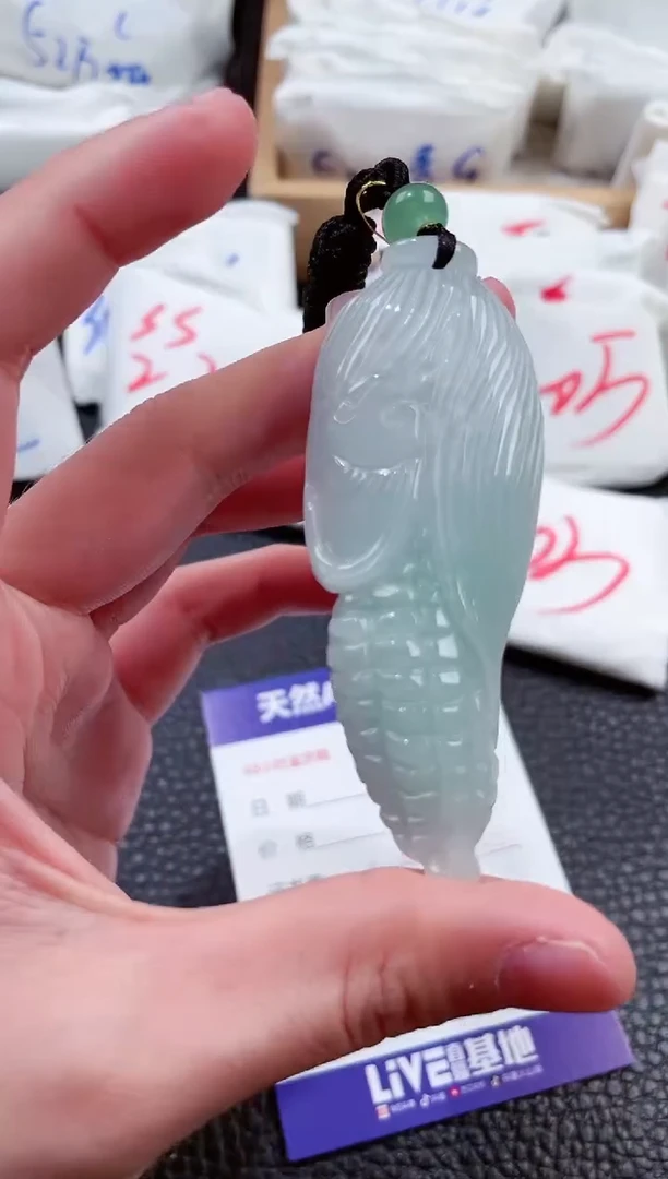 【闪购商品】翡翠颈饰未镶嵌00000139