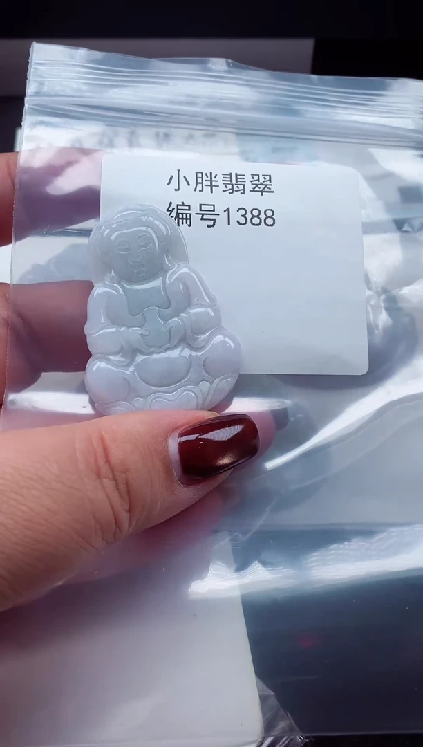 颈饰未镶嵌翡翠缅甸天然A货翡翠1388