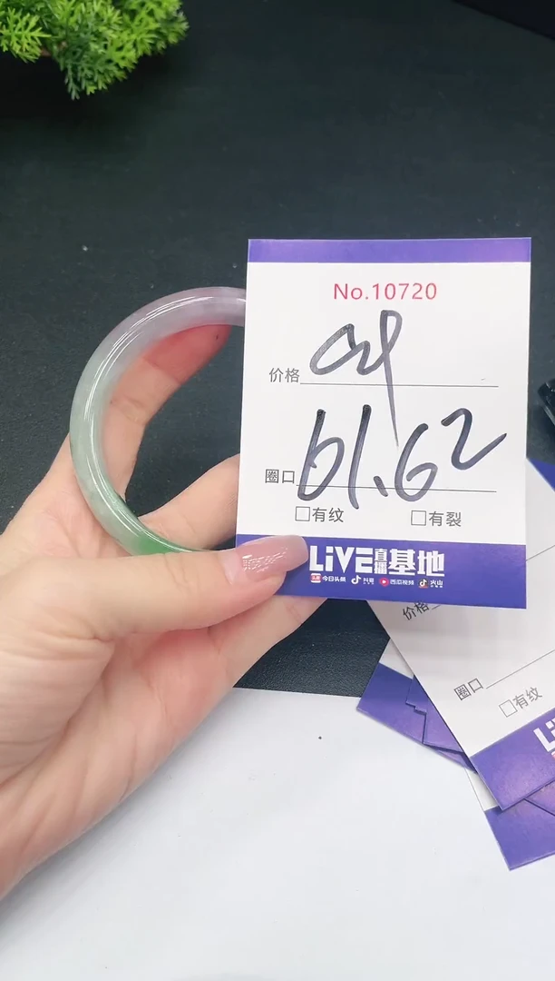 未镶嵌手镯翡翠10720