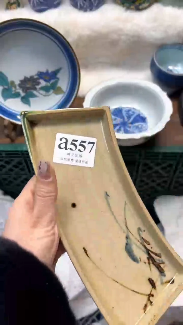 【闪购商品】瓷片          a557