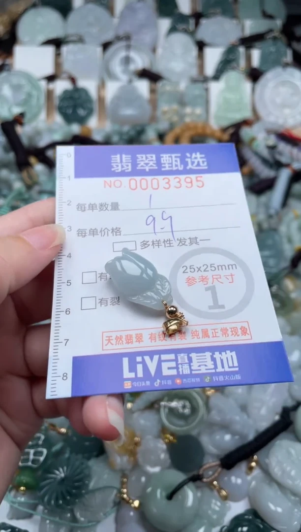 翡翠未镶嵌颈饰00..3395