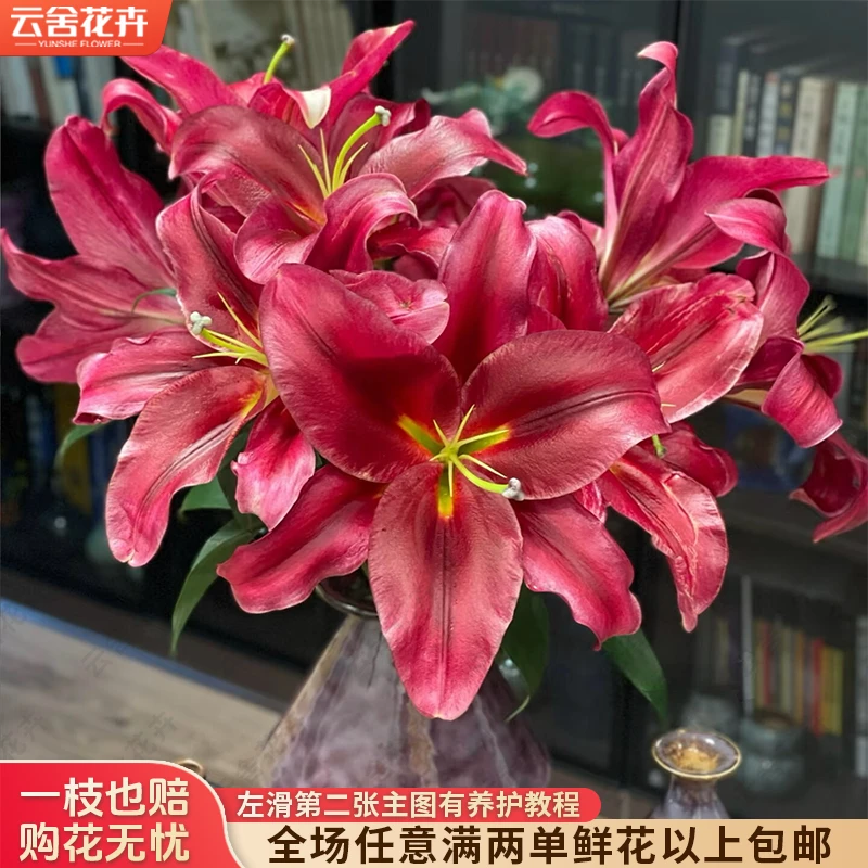 【云舍花卉】稀有【永恒的爱】单瓣百合全场任意满两单及以上鲜花包邮