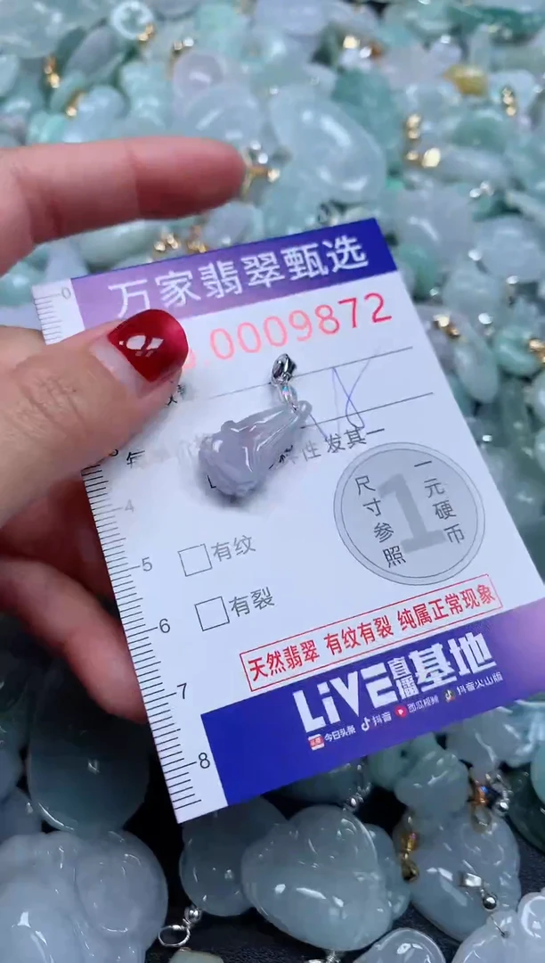 颈饰未镶嵌翡翠9872