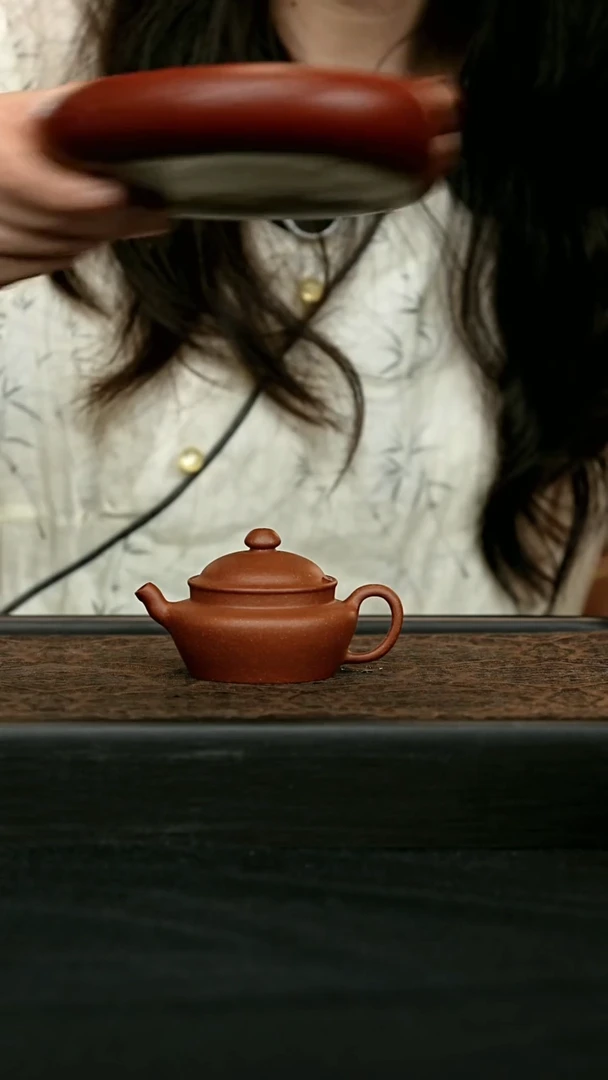 茶壶紫砂笠帽壶 一物见春