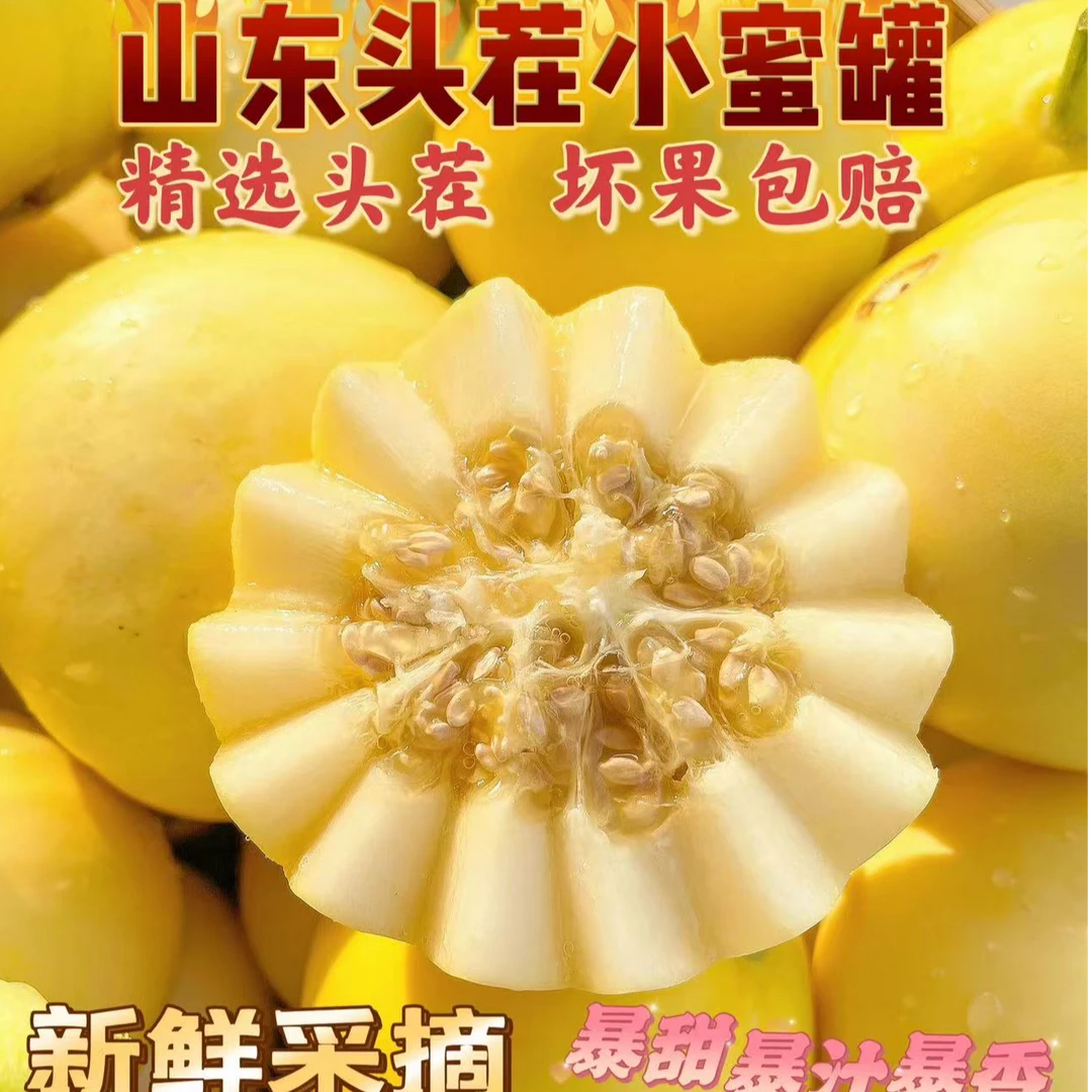 【新店福利！还剩1天！】正宗沂蒙山头茬小蜜蜂甜瓜脆甜小蜜罐甜瓜