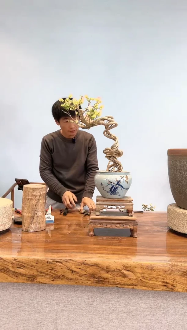 【闪购商品】aa909