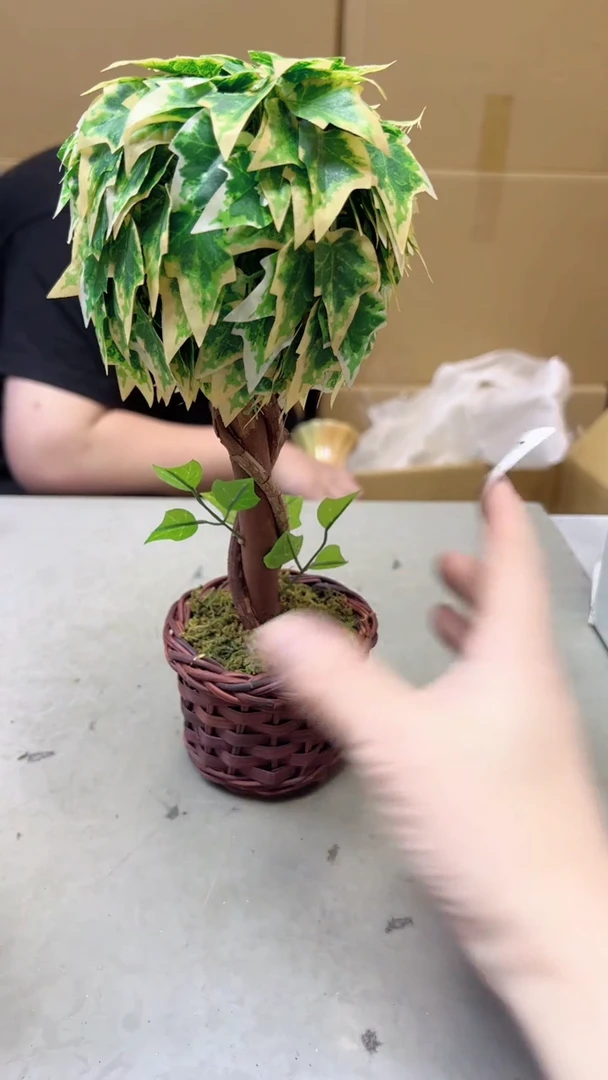 【闪购商品】瓷片751聚宝缘海淘精选