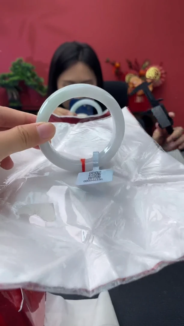 未镶嵌手镯翡翠4