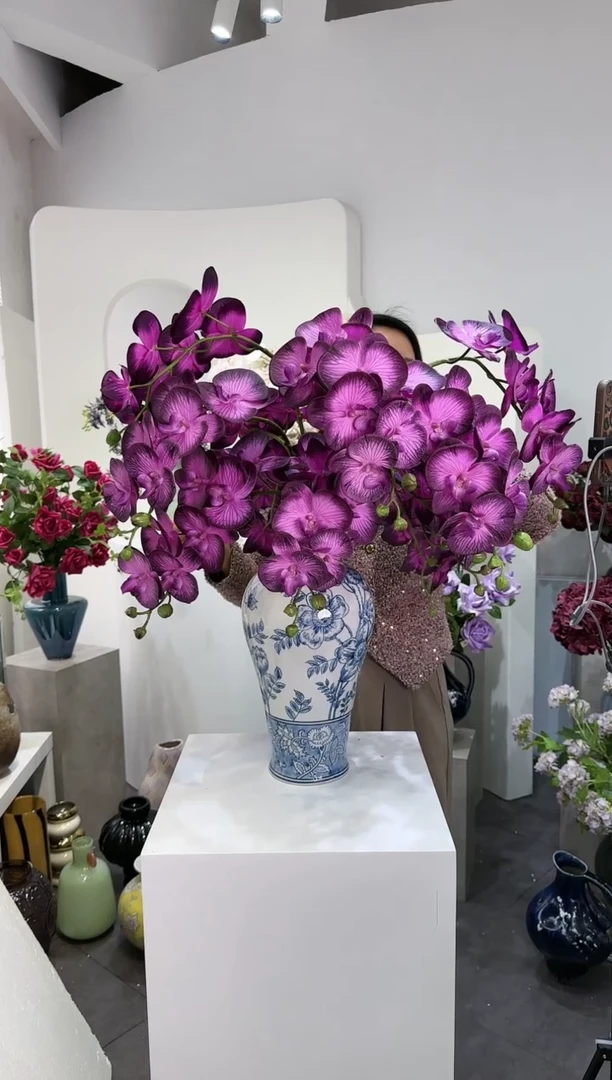 【闪购商品】藤10支黑紫色蝴蝶兰（不含花瓶）