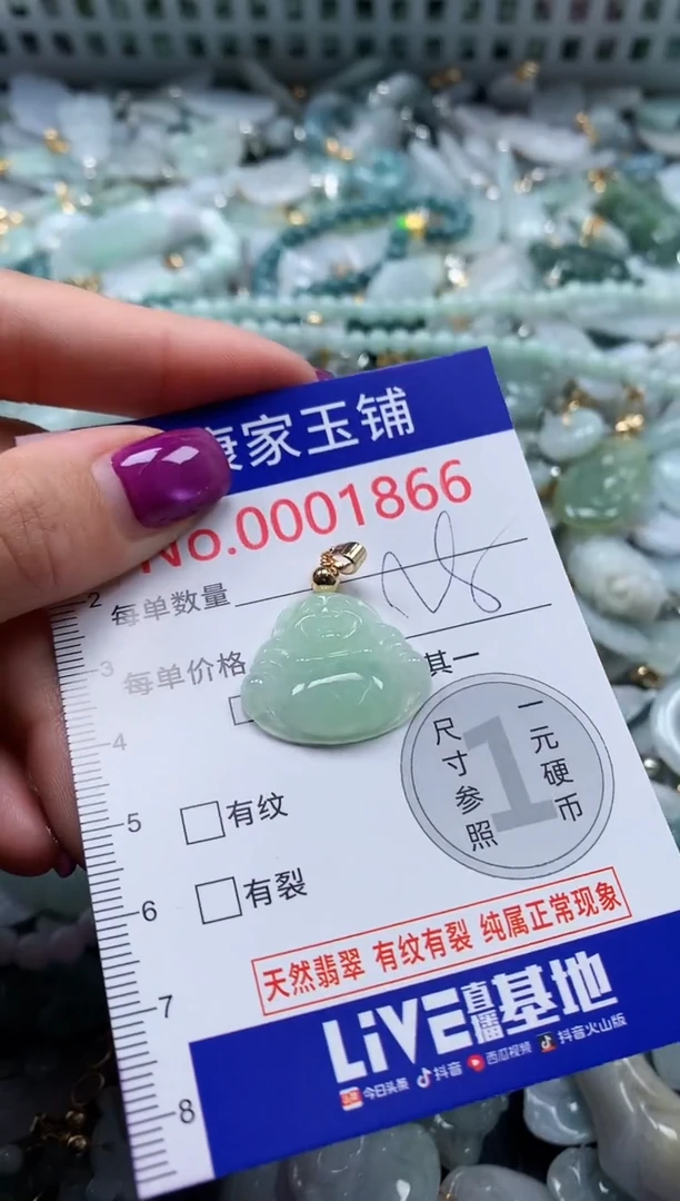 颈饰未镶嵌翡翠1866