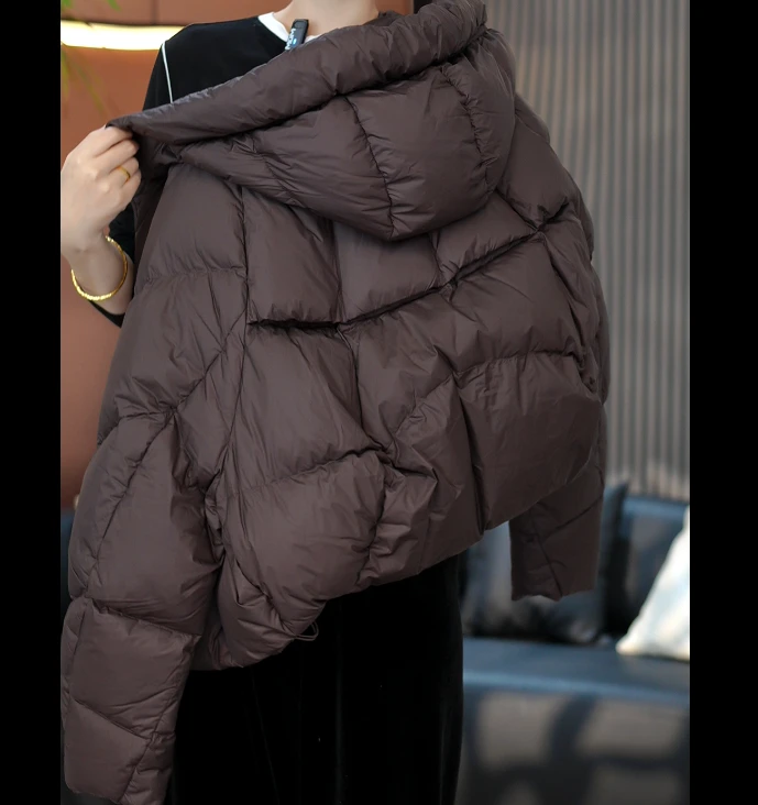宽松休闲纯色连帽羽绒服2025冬季新款舒适百搭保暖上衣