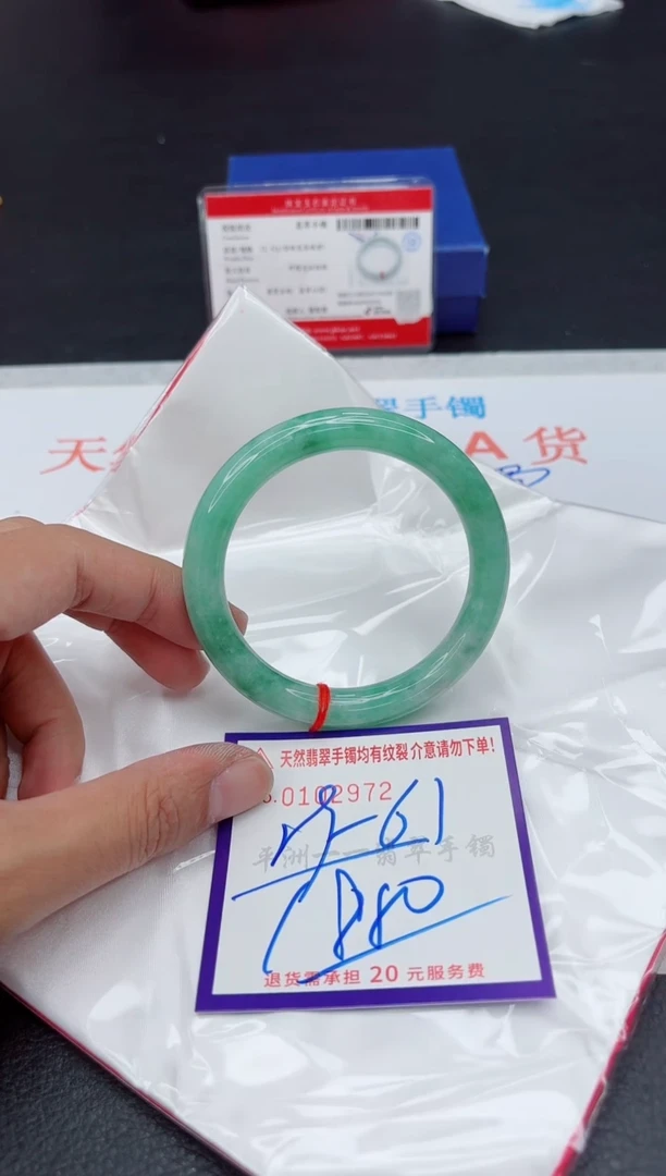 未镶嵌手镯翡翠11111111