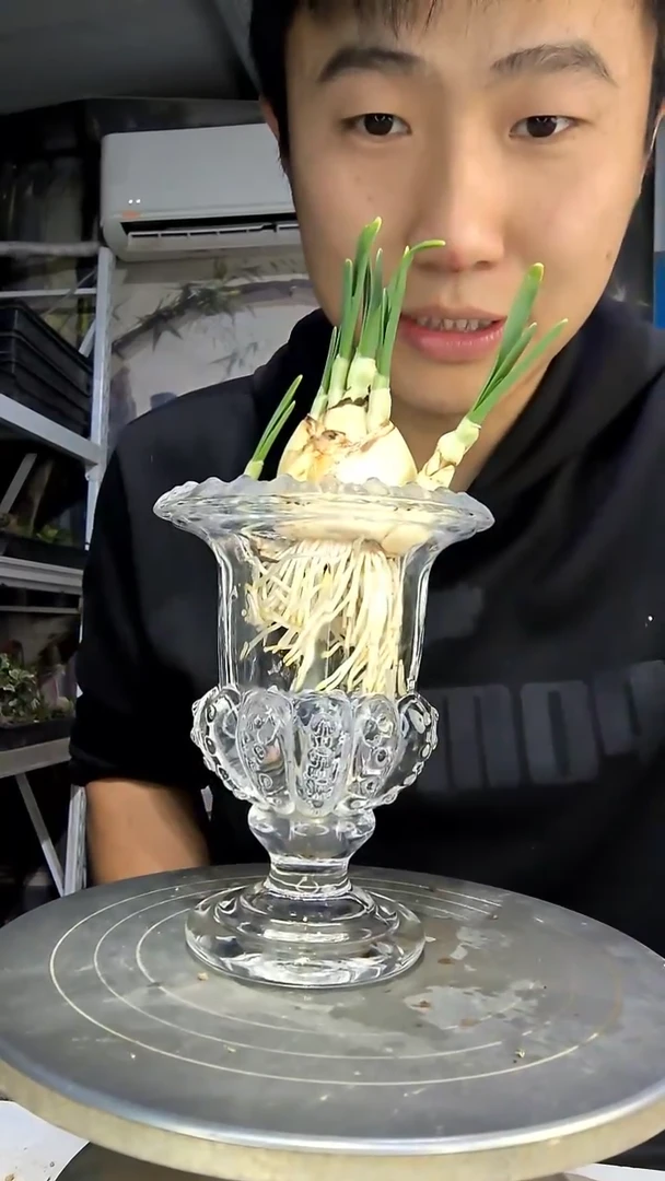 小**。中青园艺一物一拍花420