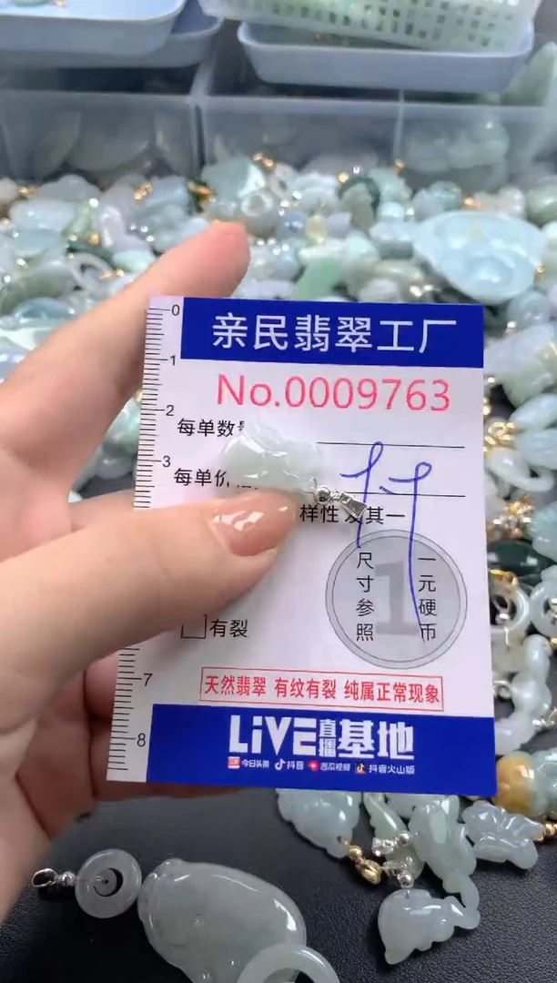 颈饰未镶嵌翡翠9763