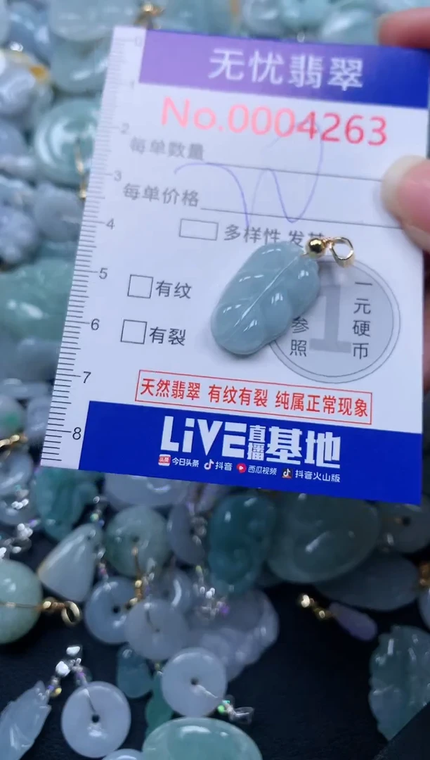 颈饰未镶嵌翡翠4263
