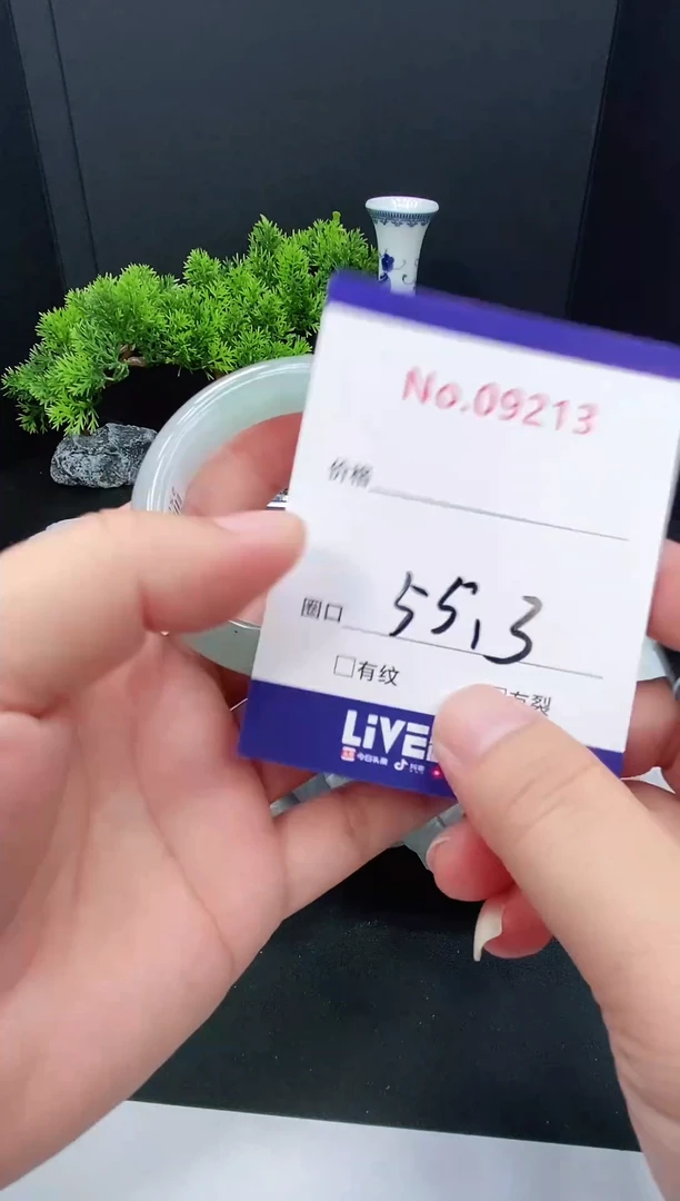 未镶嵌手镯翡翠9213