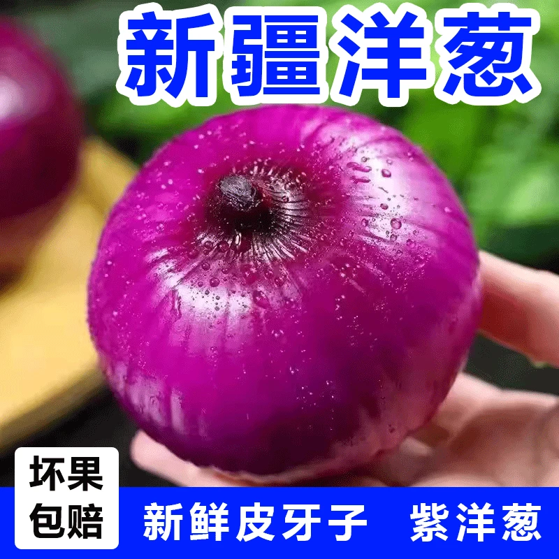 新疆正宗皮牙子紫洋葱 5斤支持试吃【新疆直发】