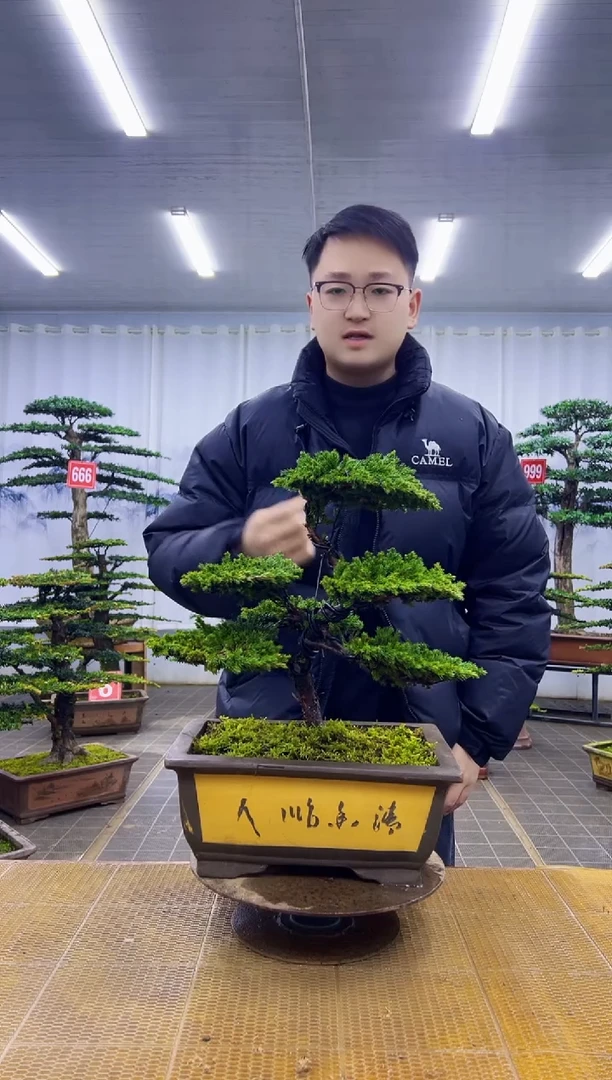 无花朵0000000000000000000