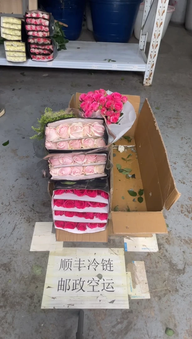 佛洛依德20枝+粉红20枝+苏菲10枝+黄莺