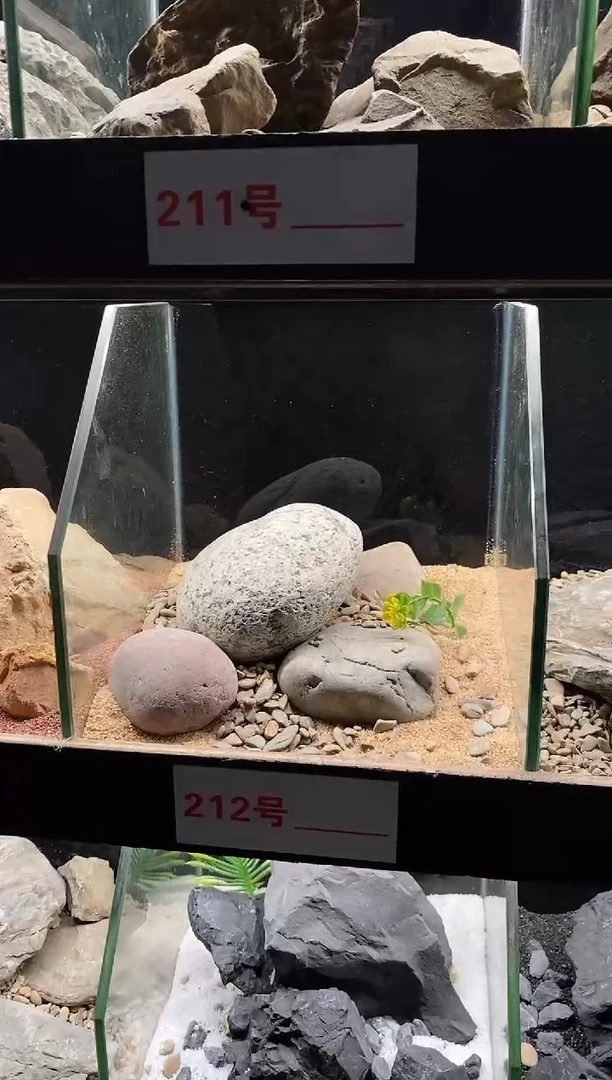 212号鱼缸造景（不含底砂）