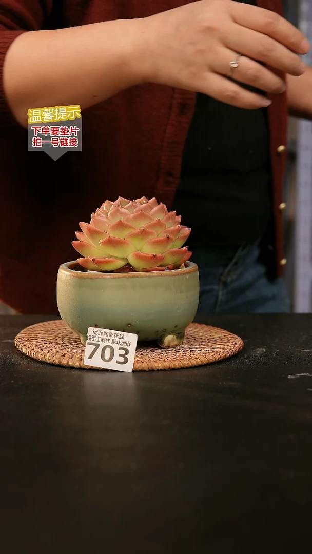 瓷片703内口径约10-11  外高约7