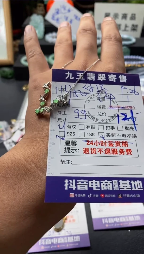 颈饰银S925镶嵌翡翠紫**️买断