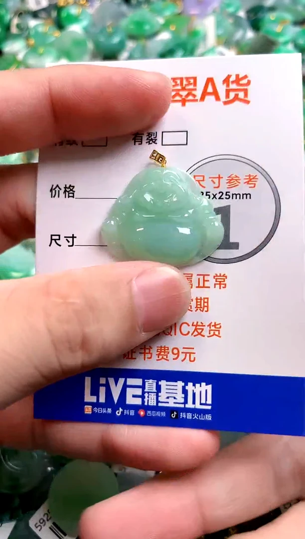 颈饰未镶嵌翡翠23000306