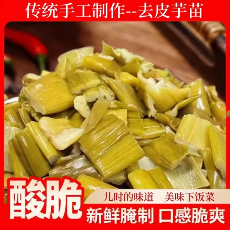 广西特产新鲜芋苗酸腌制咸菜酸菜下饭菜粥粉面芋荷芋梗鲜嫩