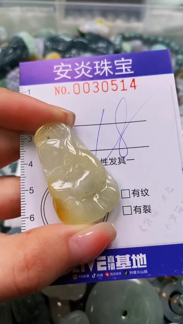 颈饰未镶嵌翡翠闪购0030514