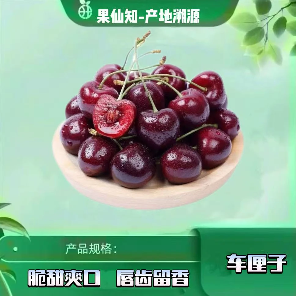 【空运-车厘子-2JDD-净重5斤-原箱】皇家黎明智利共和国