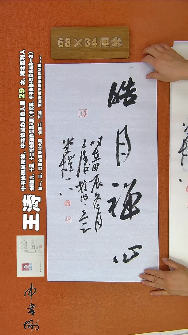 【闪购商品】书法683王涛书法作品