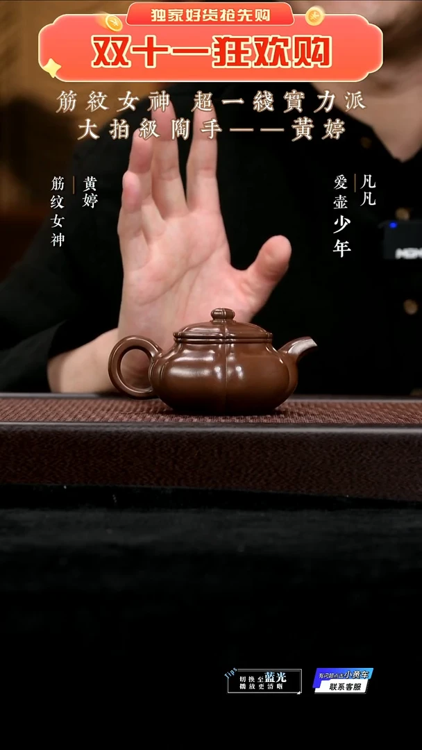 JW黄婷35 小葵仿古 革紫泥220cc