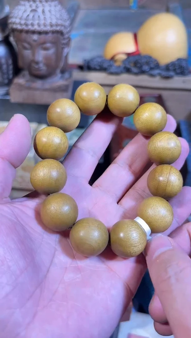 黄杨木1111111111111111