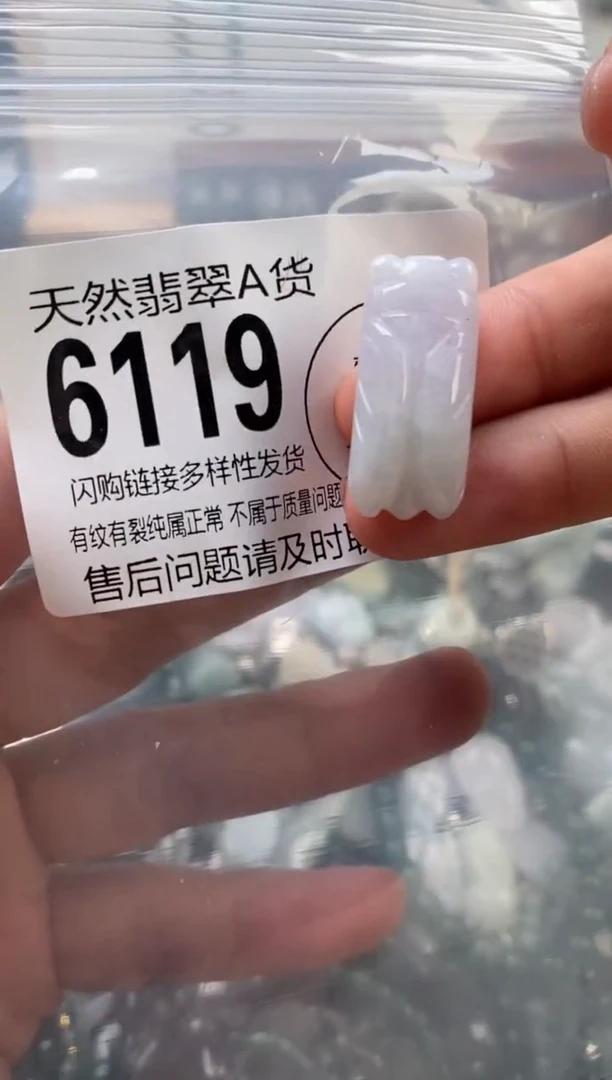 颈饰未镶嵌翡翠翡翠6119