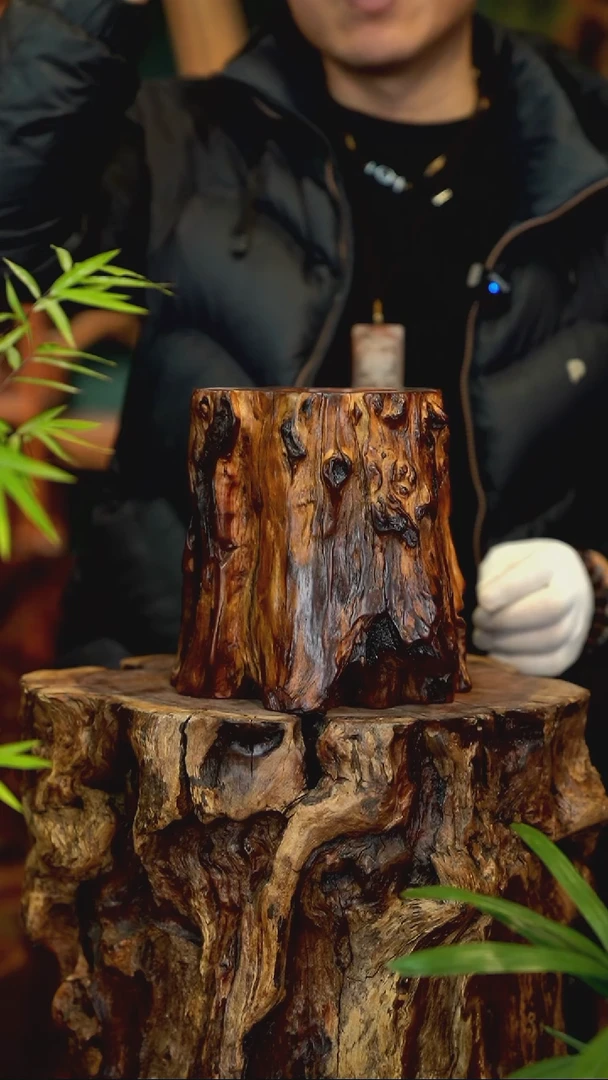 木雷击枣木脱骨老料笔筒