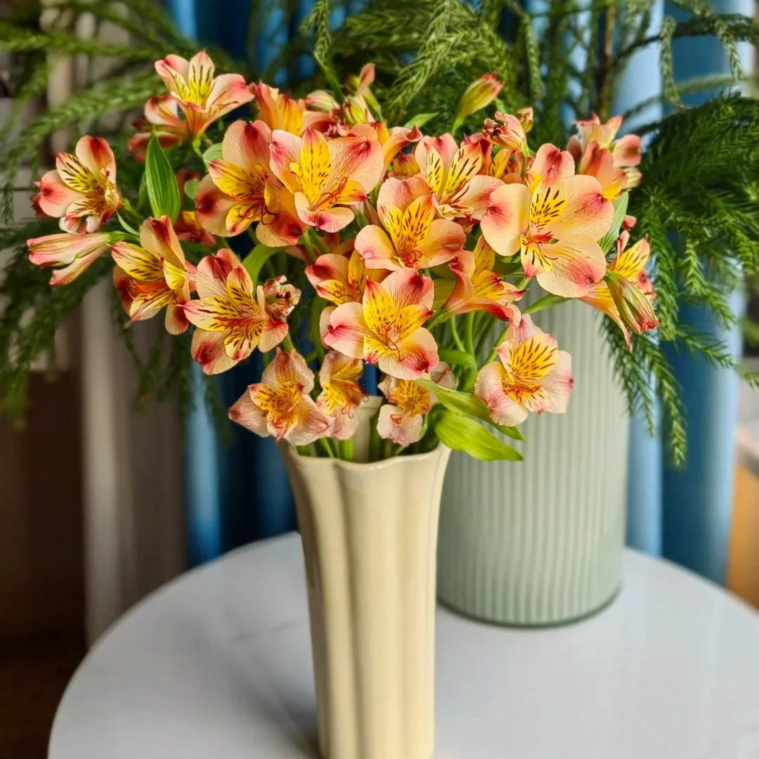 【花汀私享】20支鸡尾酒六出花-水仙百合（注意带包装醒花哦~）
