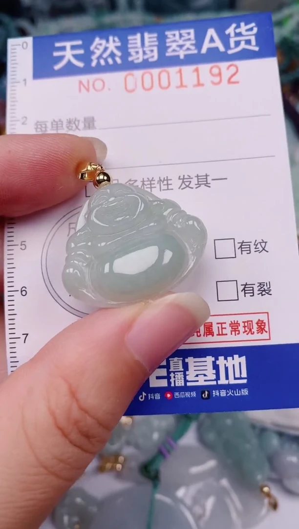 颈饰未镶嵌翡翠00001192