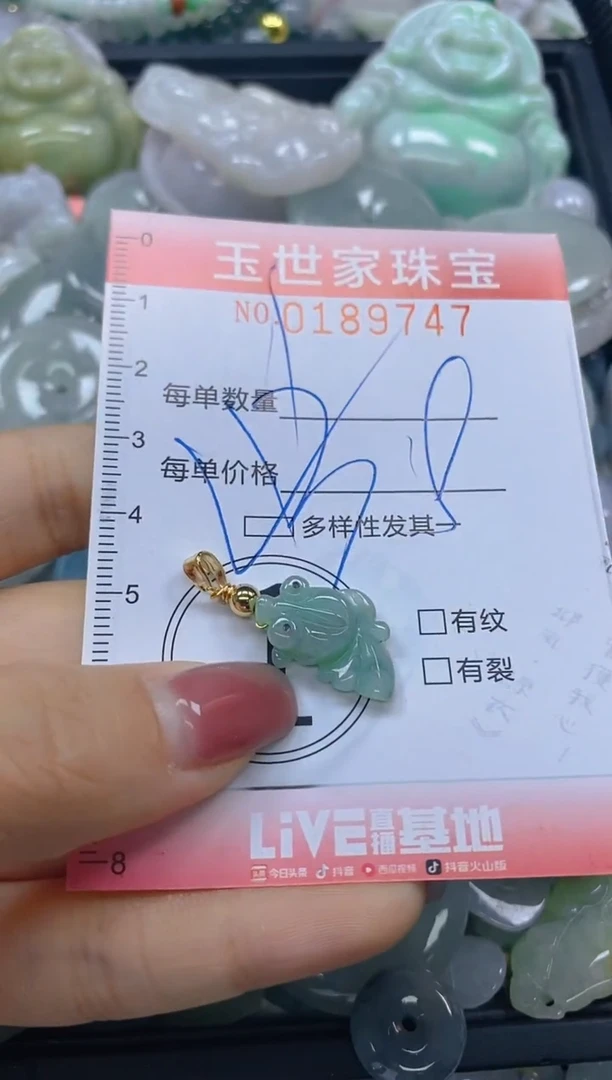 【闪购商品】翡翠颈饰未镶嵌闪购0189747多样性发其一