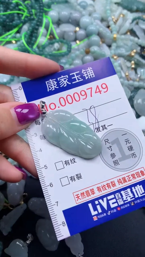 颈饰未镶嵌翡翠9749