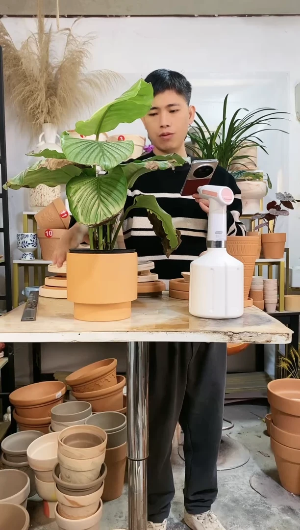 【闪购商品】红陶15*14红陶直筒酒杯 1盆无托