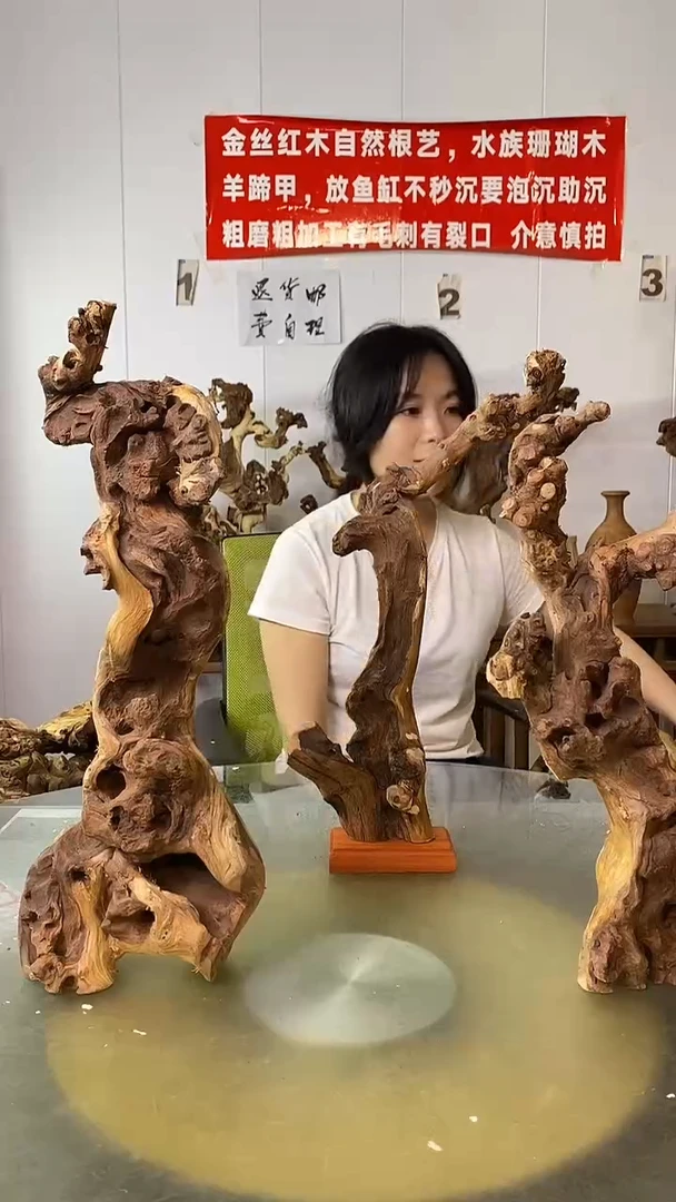 香榧木善*金丝红木 羊蹄甲3