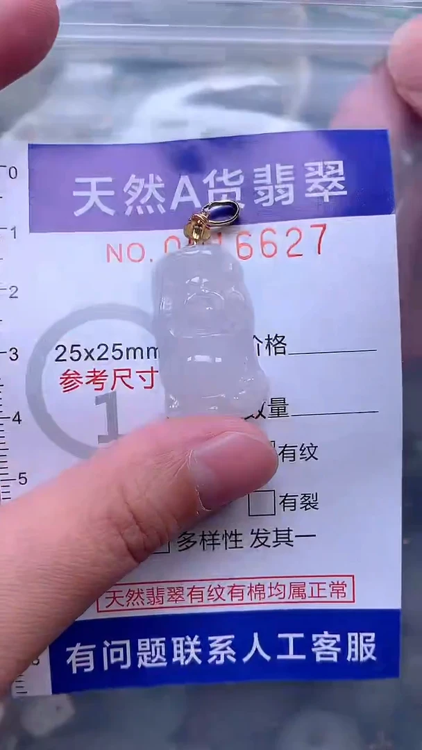 吊坠(赠链)未镶嵌翡翠1