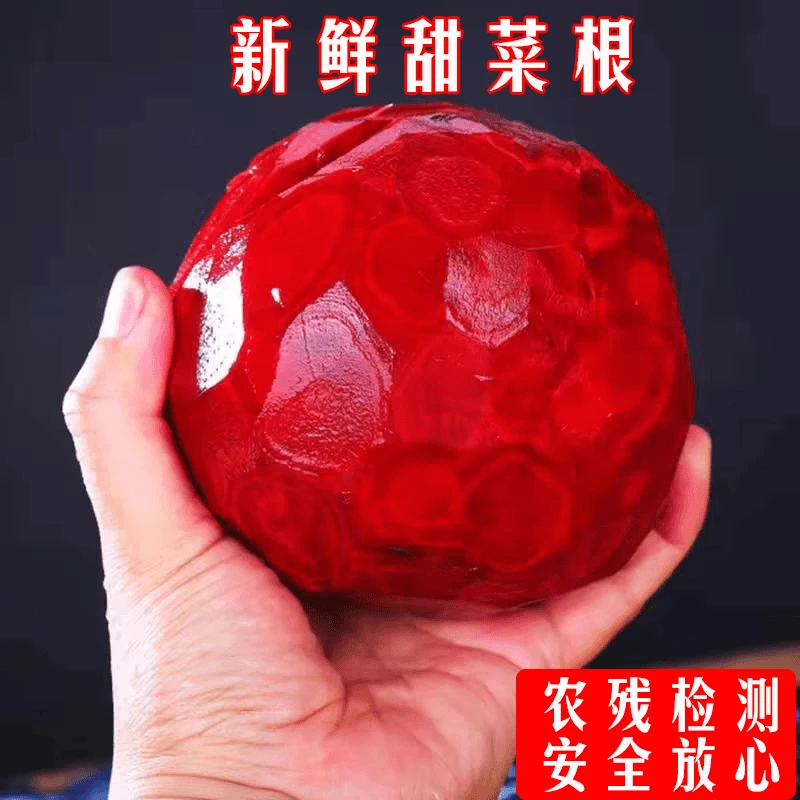 新鲜甜菜根红菜头红心紫菜头胭脂萝卜健身蔬菜榨汁紫甜菜农家