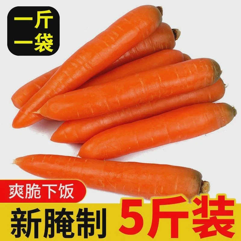 新鲜胡萝卜咸菜大缸腌制拌面菜拌饭菜萝卜干山东特产小零食推荐