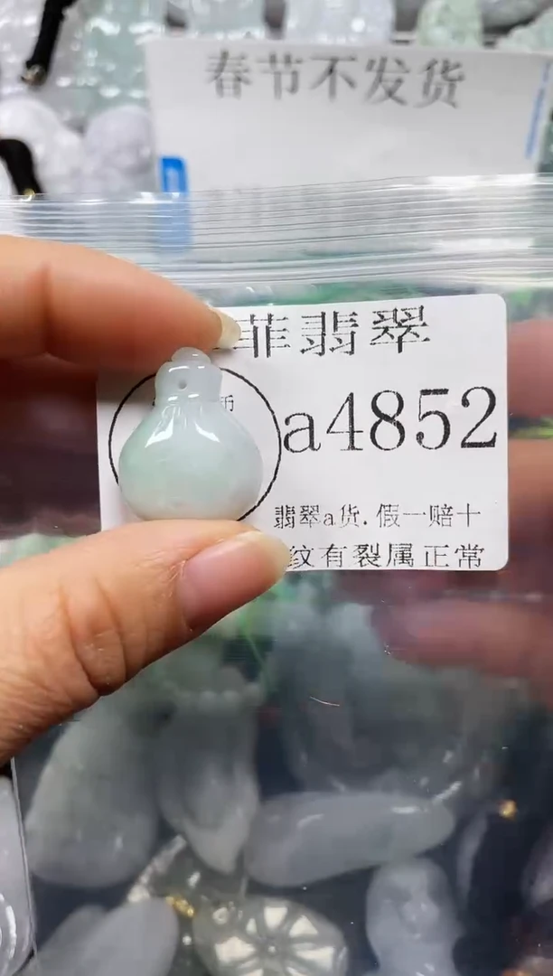 【闪购商品】翡翠颈饰未镶嵌闪购4852