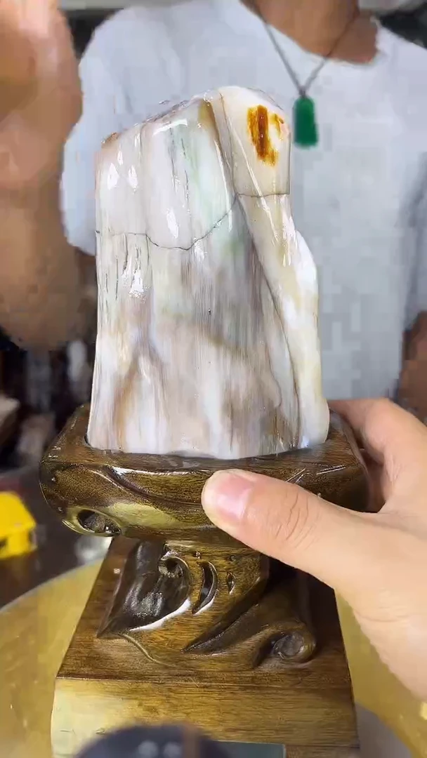 硅化玉珠宝奇石未镶嵌缅甸天然树化玉