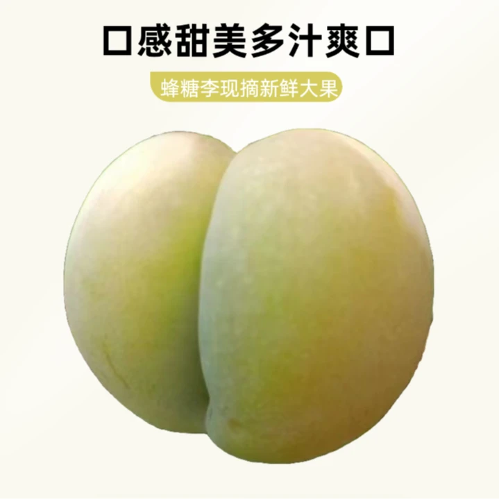 蜂糖李现摘45一斤大果