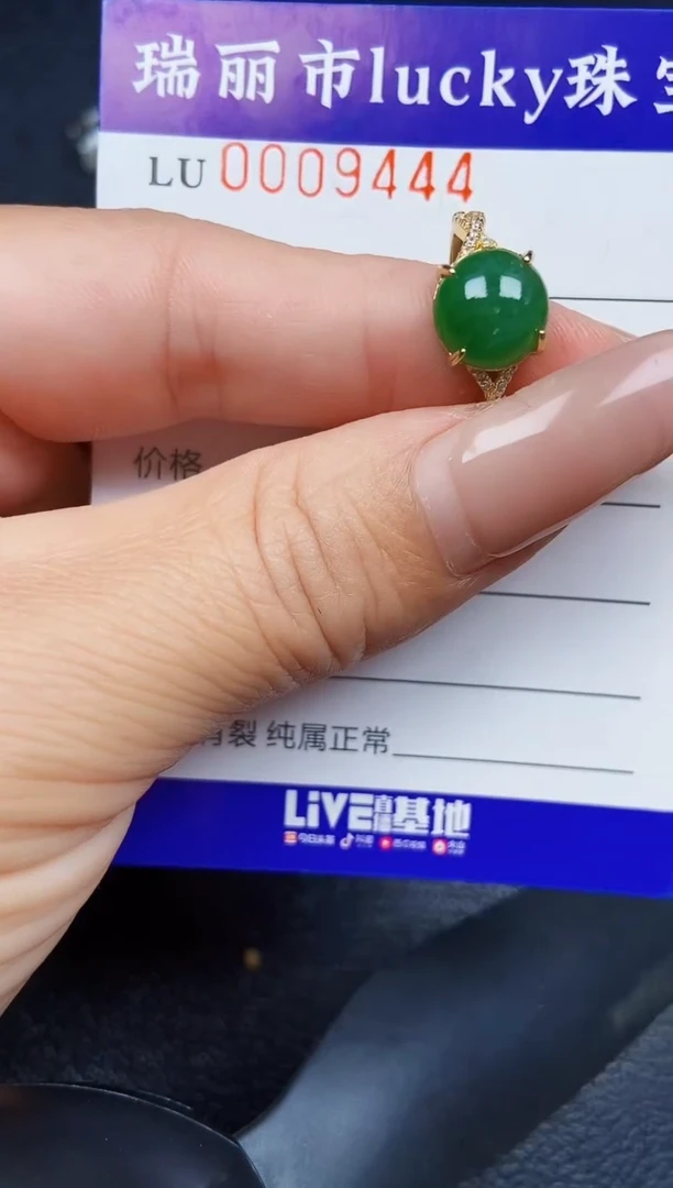 翡翠银S925镶嵌颈饰9444